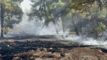 Gaziantep’te orman yangını
