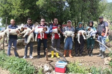 Gaziantep’teki depremzede besiciler devlet desteğiyle üretime devam ediyor
