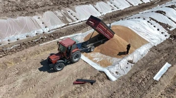 Geçtiğimiz yıl rekor kıran TMO’da hububat alımları devam ediyor
