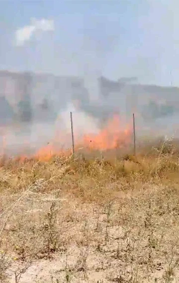 Gemlik’te çalılık yangını korkuttu
