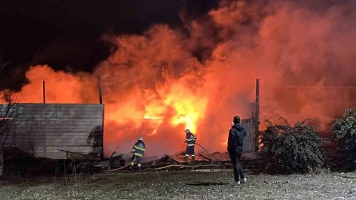 Geri dönüşüm tesisindeki yangın korkuttu
