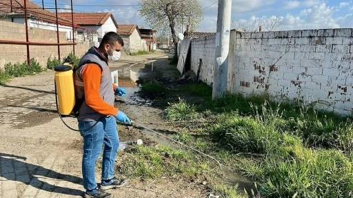 Germencik’te ilaçlama çalışmaları sürüyor
