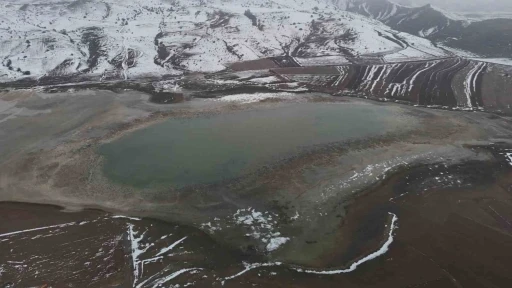 Göçmen kuşların durağı göl çöle dönmüştü, eski ihtişamına yine kavuştu
