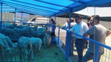 Gümüş: “Kurban Bayramı için her türlü hazırlık yapıldı, gerekli önlemler alındı”
