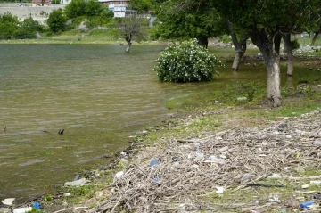 Gümüşhane’deki mahallenin çöplerle olan derdi bir türlü bitirilemiyor
