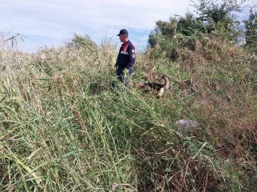 Günlerdir aranıyordu, cansız bedeni yol kenarında bulundu
