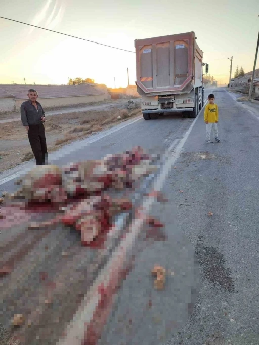 Hafriyat kamyonu sürüye çarptı, 13 koyun telef oldu
