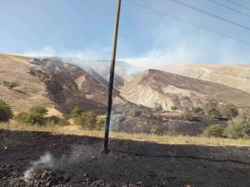 Hakkari’de makilik alanda yangın
