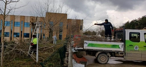 Hastane bahçesine estetik görünüm
