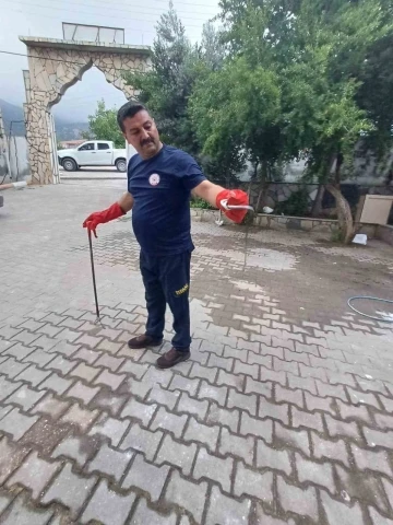 Hatay’da kız öğrenci yurduna giren yılan çıkarıldı
