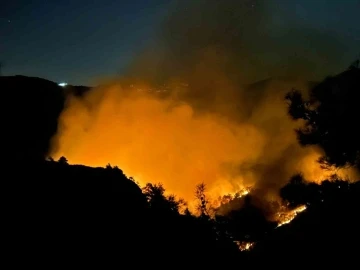 Hatay’da orman yangını
