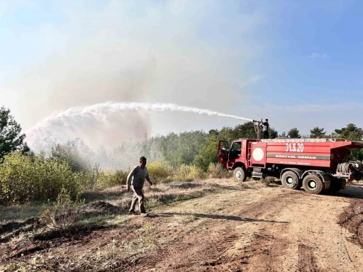 Hatay’da orman yangını rüzgarın etkisiyle büyümeye devam ediyor
