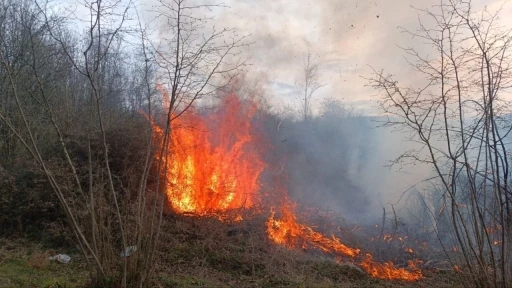 Havalar ısındı, yangınlar başladı
