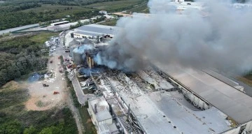 Hendek'teki Oba Makarna Patlaması: Fabrika Müdürü Tutuklandı