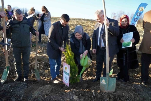 Her bebek bir fidan: Yeni doğan bebekler adına fidan diktiler
