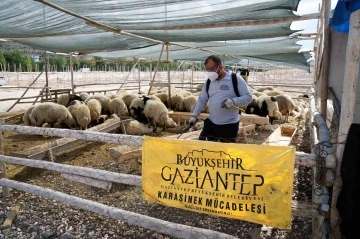 hiç Bayramda yaklaşık 700 personel sahada olacak
