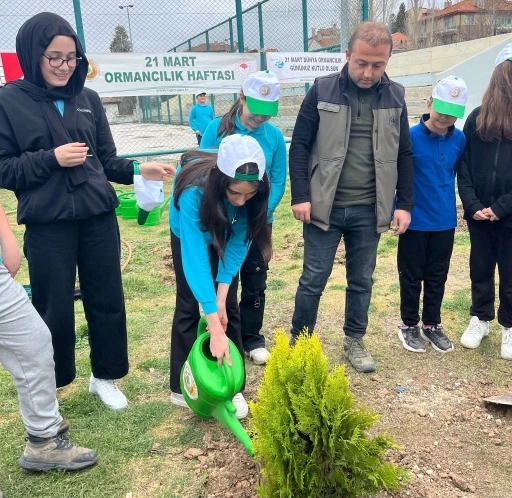 Hisarcık’ta Orman Haftası etkinlikleri
