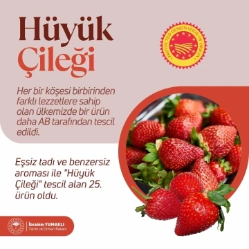 Hüyük çileği AB’den tescil aldı
