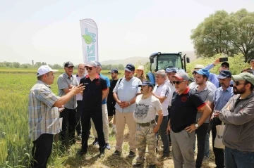 İnönü ilçesindeki Tarla Günü’nde 12 buğday çeşidi tanıtıldı
