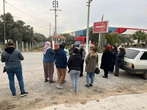 İşletme iflas etti alacaklılar kapıya dayandı
