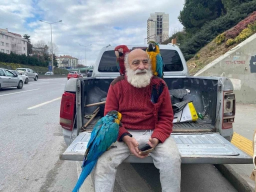 İstanbul’un &quot;Papağanlı Amcası&quot; görenlerin ilgi odağı oluyor
