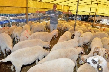 İzmir’de Kurban Bayramı için bağış kampanyası başladı
