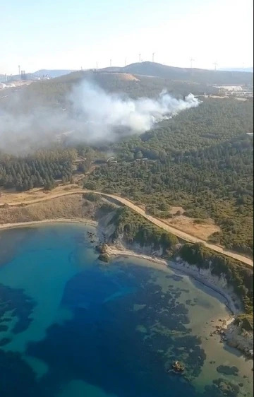 İzmir’de orman yangını
