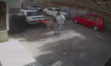 İzmir’de sevdiği köpeğin saldırısına uğrayan çocuk yaralandı
