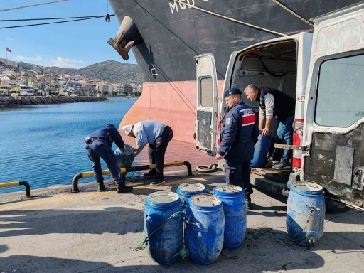 İzmir’de yasadışı yollarla avlanan deniz patlıcanları denize salındı
