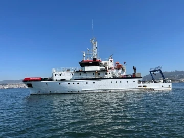 İzmit Körfezi’nde deniz ekosistemi hayat buluyor
