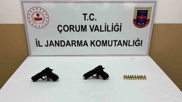 Jandarmanın durdurduğu araçta 2 tabanca ele geçirildi
