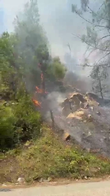 Kahramanmaraş’ta orman yangını
