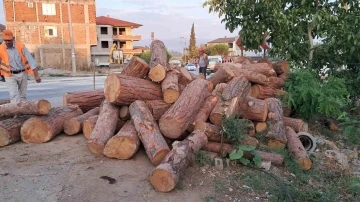 Kamyon virajı alamadı, tomruklar yola saçıldı
