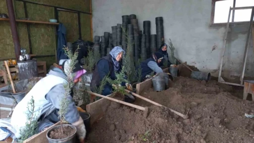 Karacabey Belediyesi’nden doğaya saygılı estetik çalışmalar
