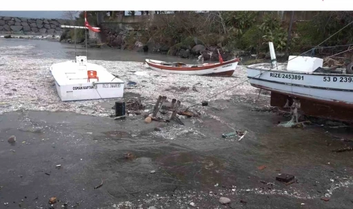 Karadeniz çöpleri iade etti, denizin pisliği kıyıya vurdu
