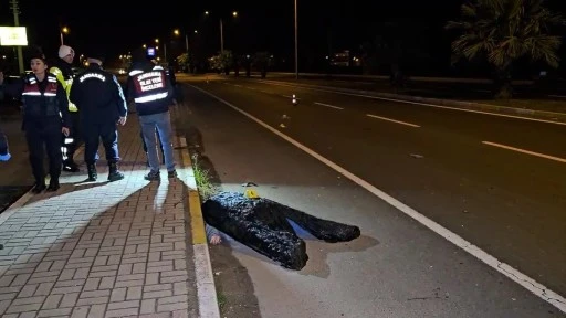 Kardeşini Korurken Hayatını Kaybetti