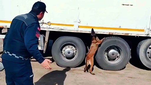 Kargo aracında 1 tonun üzerinde kaçak tütün ve yüzlerce paket sigara ele geçirildi
