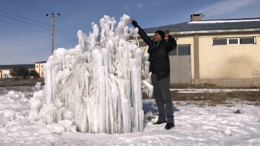 Şelale dondu, ağaç buzdan heykele döndü