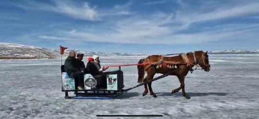 Kars Çıldır Gölü’nde atlı kızak seferleri devam ediyor
