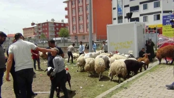 Kars’ta hayvan pazarında yoğunluk
