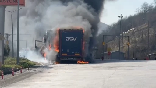 Karton yüklü tır, Karayolları Denetleme İstasyonu’nda alevlere teslim oldu
