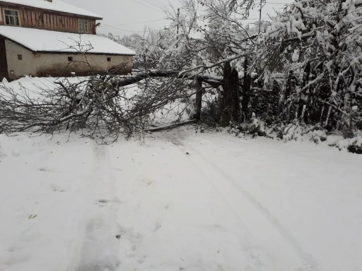 Kastamonu’da ekiplerin karla mücadelesi erken başladı
