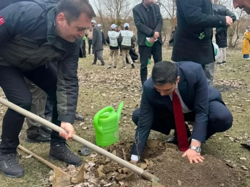 Kastamonu’da şehit ve gaziler için fidan dikildi
