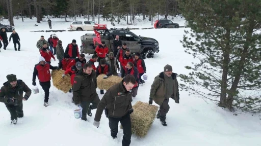 Kastamonu’da yaban hayvanları için doğaya yem ve yiyecek bırakıldı
