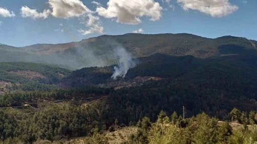 Kavaklıdere’de arazi yangını
