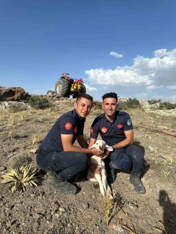 Kayalıklara sıkışan kuzu 2,5 saatlik çalışma ile kurtarıldı
