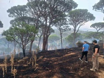 Kaymakam Gökçe, yangın ve taşkın bölgelerinde incelemelerde bulundu
