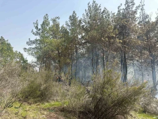 Kemer’deki orman yangını kontrol altına alındı, 2 hektarlık alan zarar gördü
