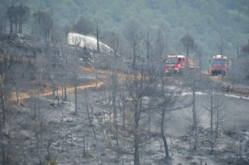 Kepsut yangını kontrol altına alındı, soğutma çalışmaları devam ediyor
