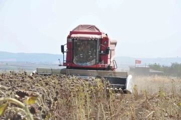 Keşan’da ayçiçeği hasadı başladı
